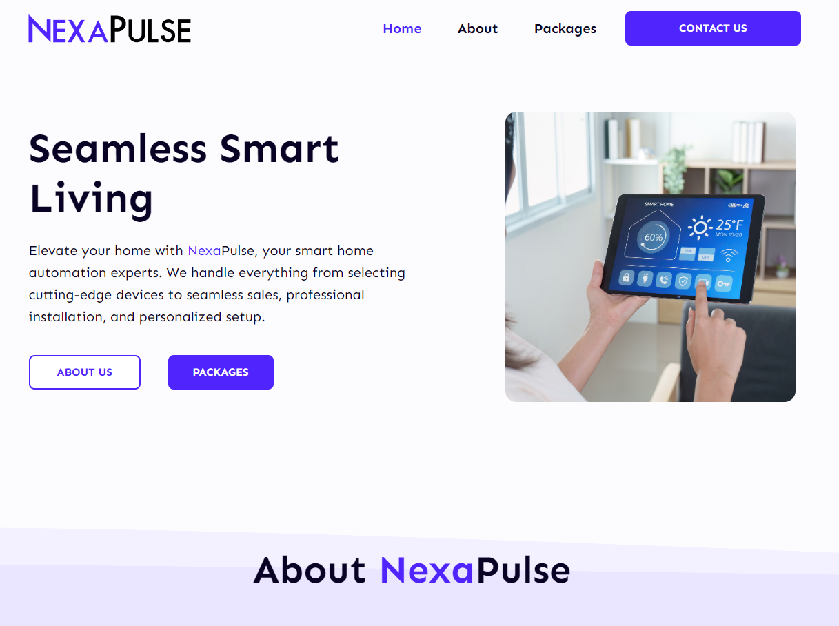 NexaPulse Website Design