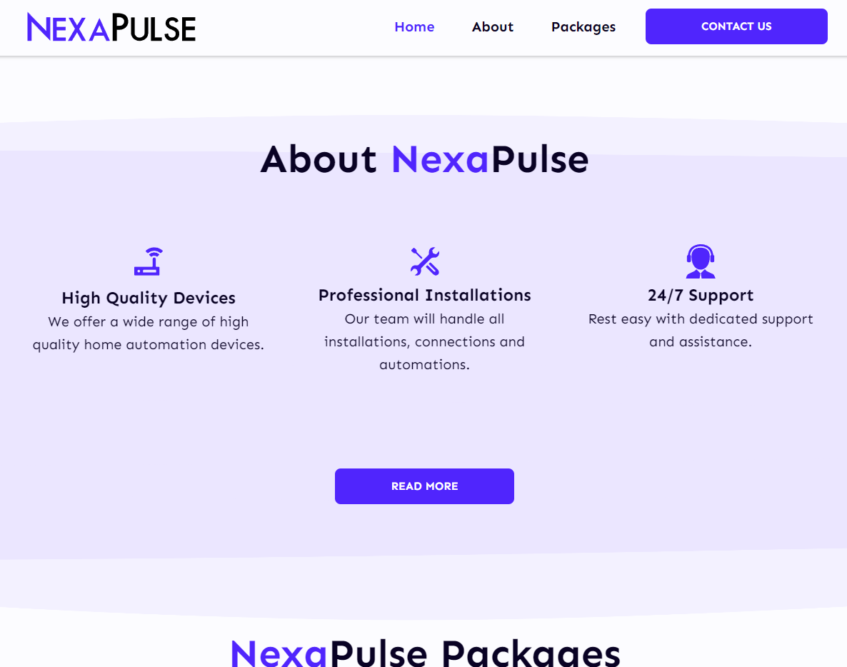 NexaPulse Website Design