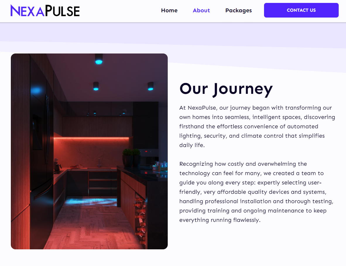 NexaPulse Website Design