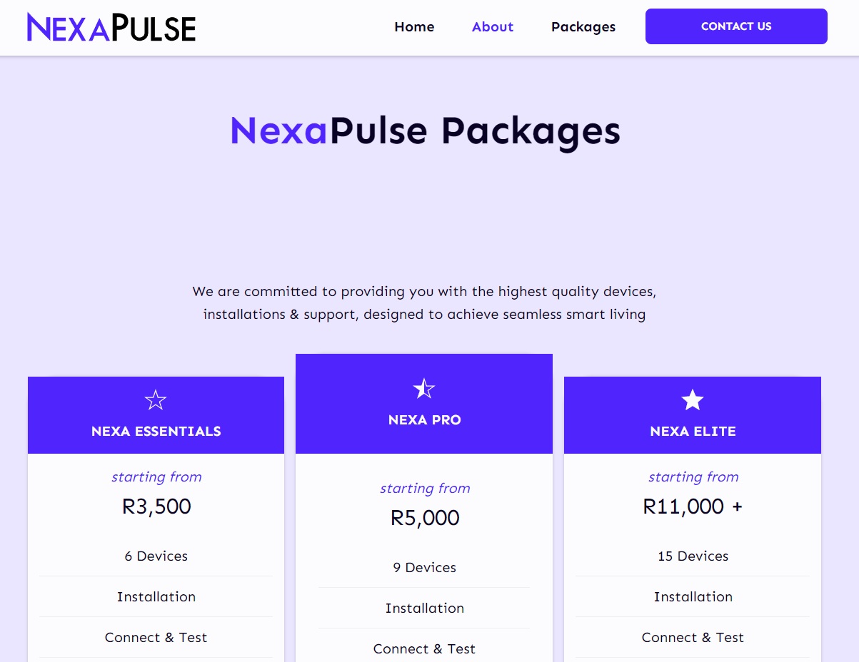 NexaPulse Website Design